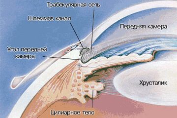 Глаукома в Днепре